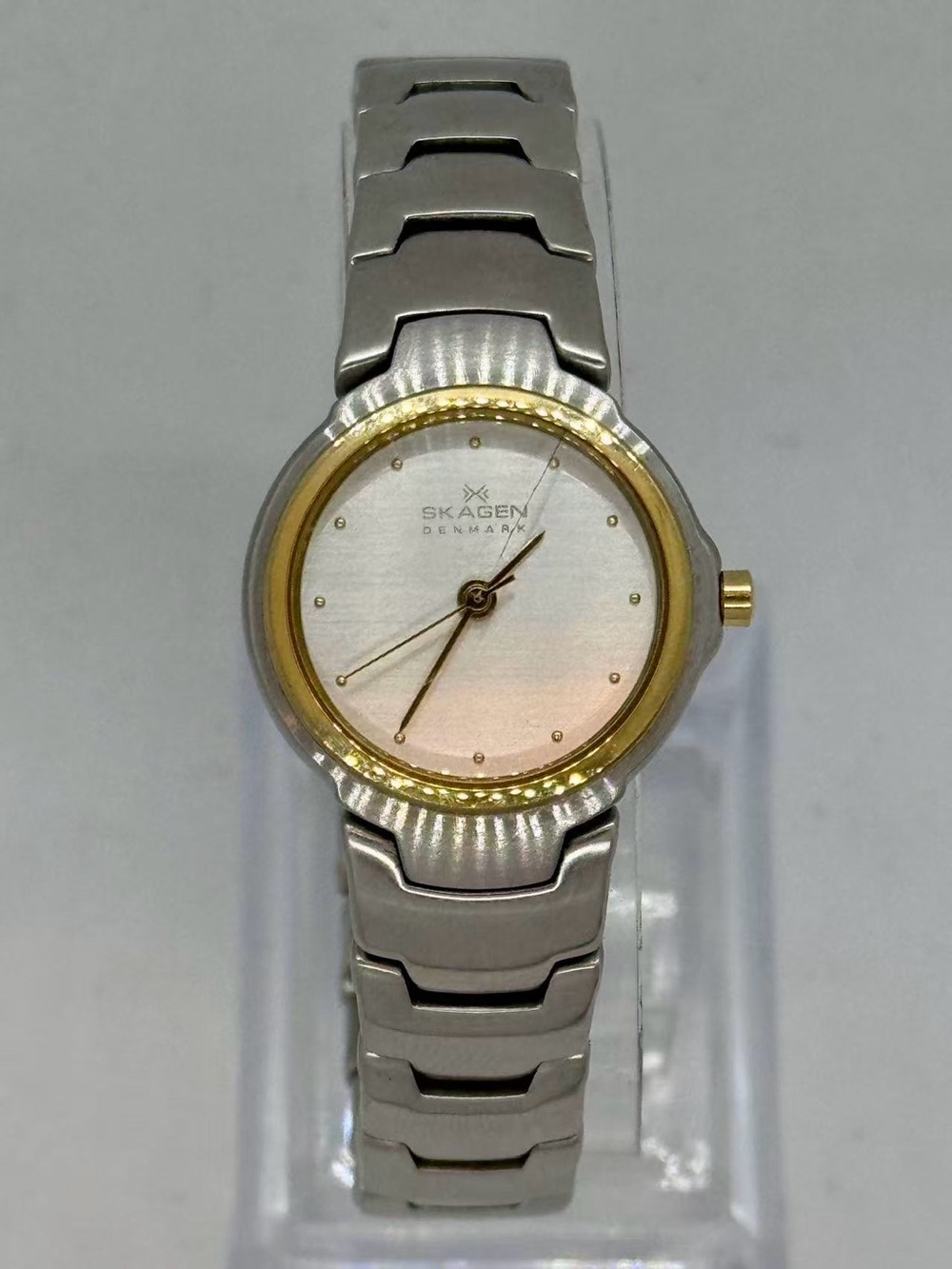 Vintage Skagen Denmark Women’s Quartz Two Tone Watch 24mm New Battery Runs